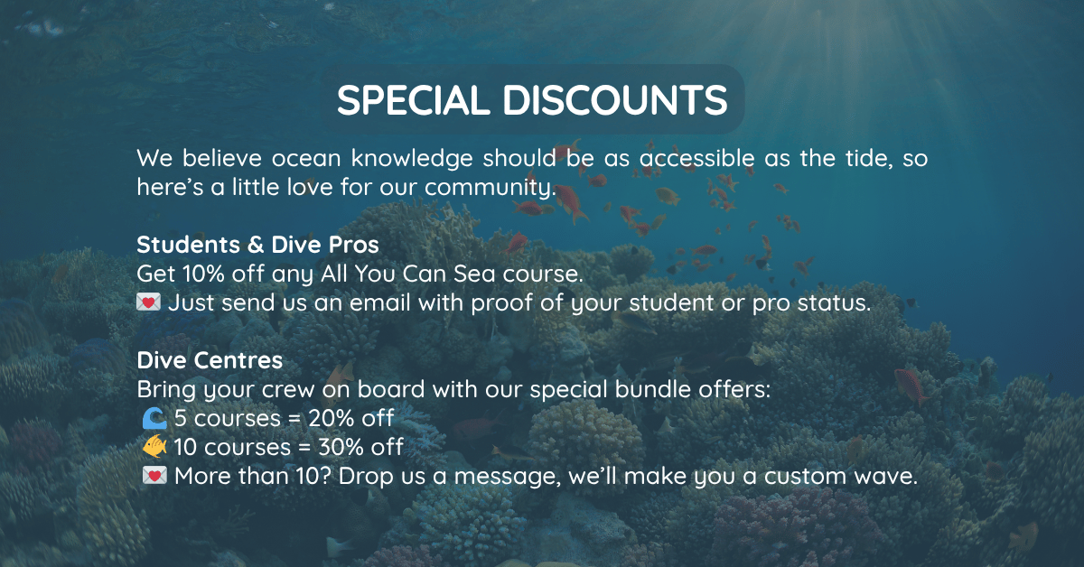 Coral Ecology and Conservation Course