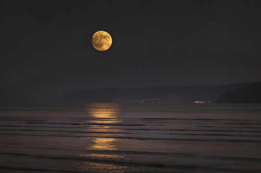 The Largest Animal Migration on Earth Happens Every Night