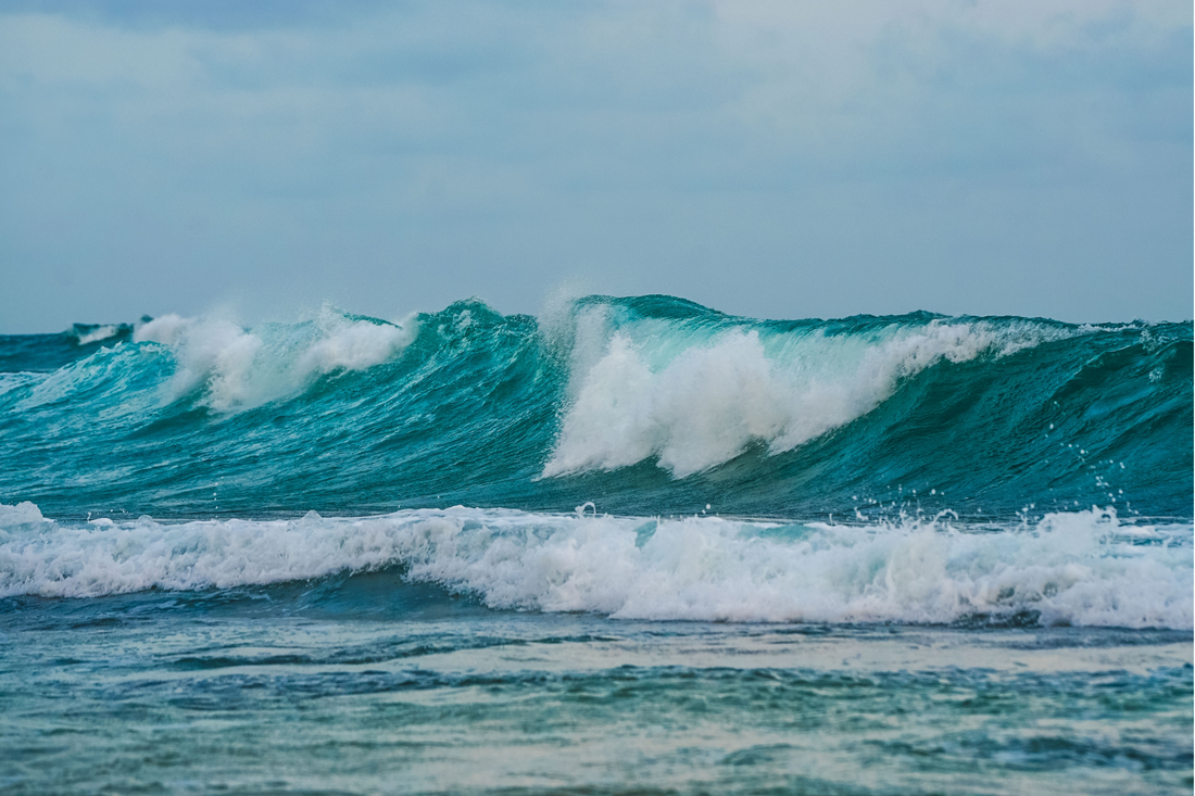 The Ocean’s Invisible Conveyor Belt