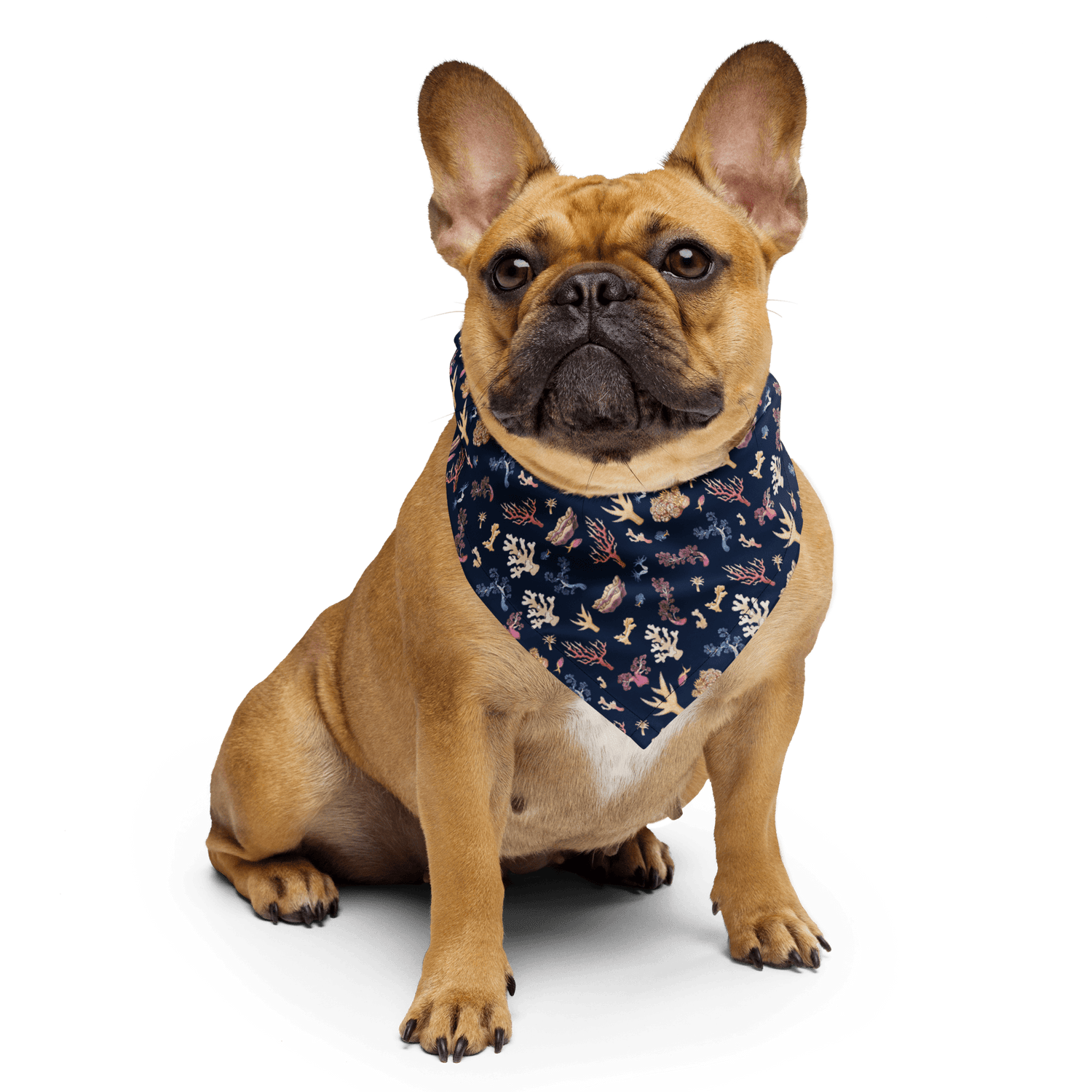 coral print bandana on a dog