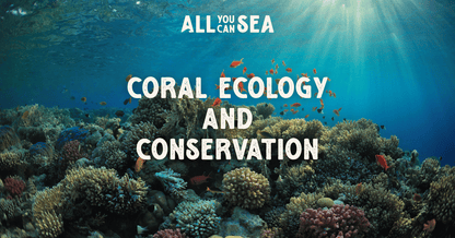 Coral Ecology and Conservation Course