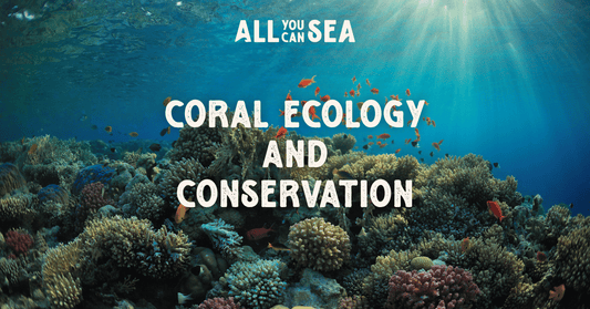 Coral Ecology and Conservation Course