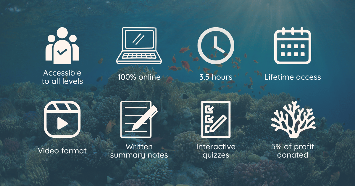 Coral Ecology and Conservation Course