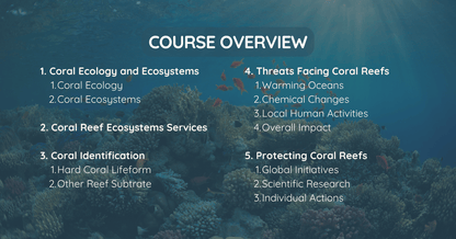 Coral Ecology and Conservation Course
