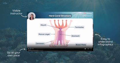 Coral Ecology and Conservation Course