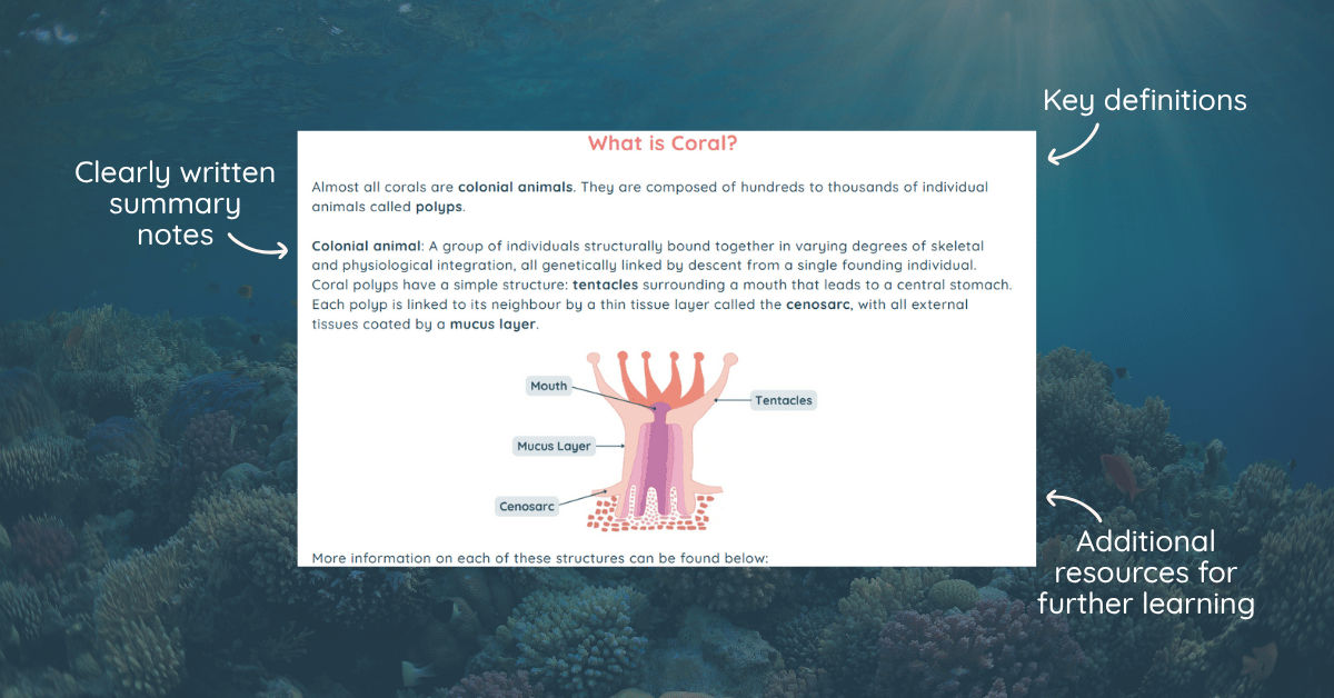Coral Ecology and Conservation Course