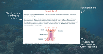 Coral Ecology and Conservation Course