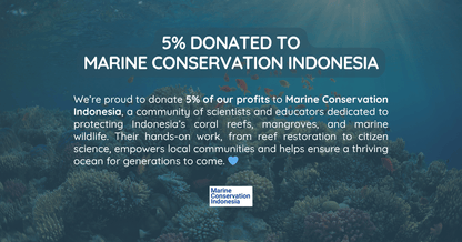 Coral Ecology and Conservation Course