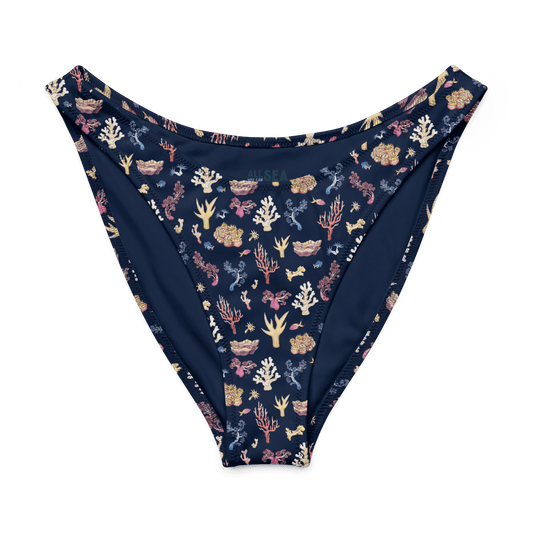 Coral Eco V-Cut Bikini Bottom